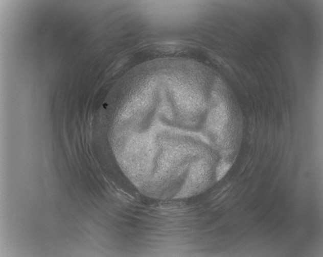 X0000056341394200509232027