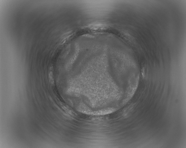 X0000056341396200509232027