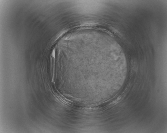 X0000056341401200509232027