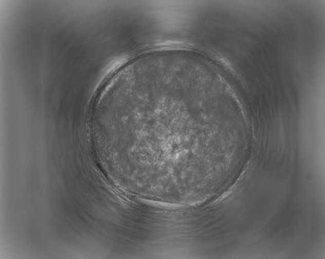 X0000056341405200509232027