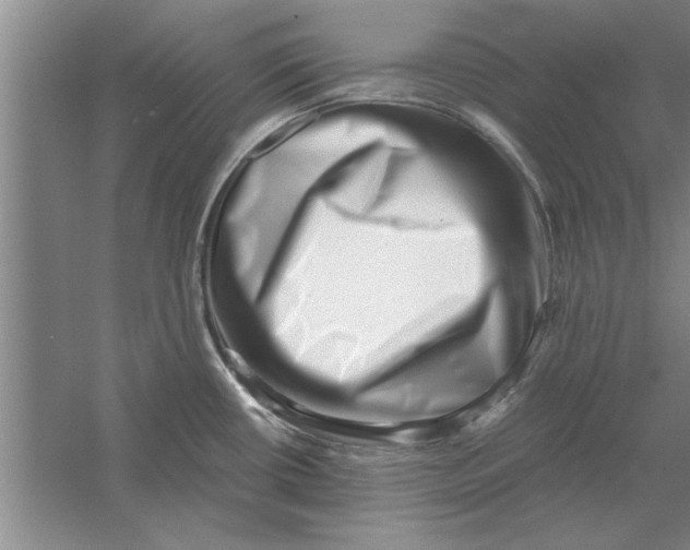 X0000056341434200509232027