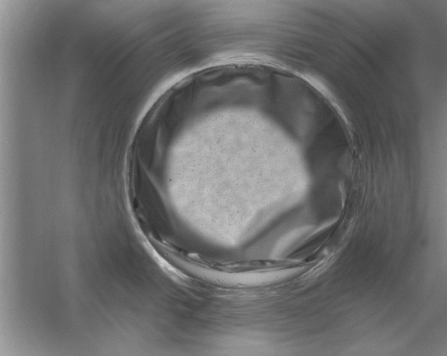 X0000056341438200509232027