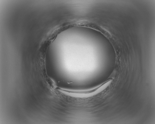 X0000056341447200509232027