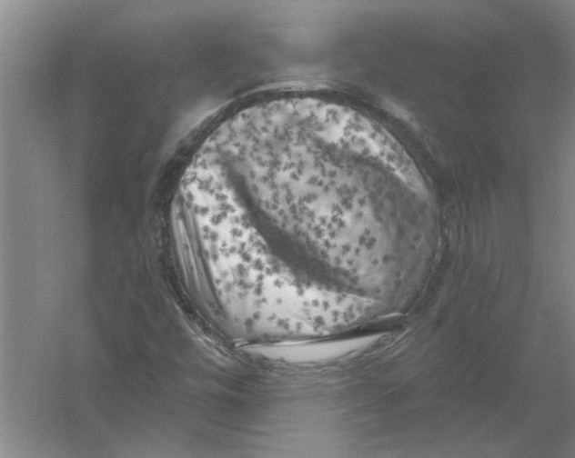 X0000056341448200509232026