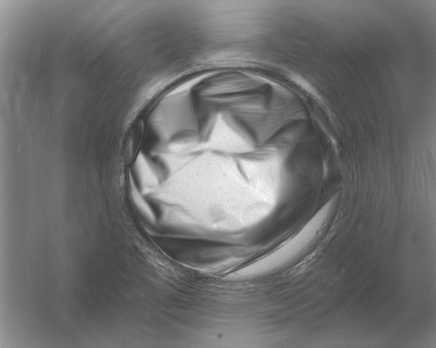 X0000056341461200509232026