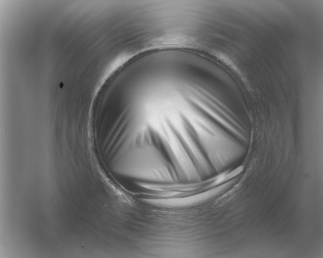X0000056341469200509232026