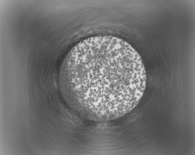 X0000056341490200509232025