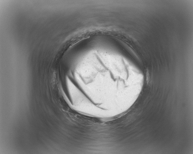 X0000056341492200509232025