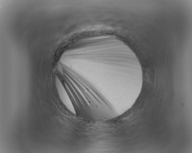 X0000056341493200509232025