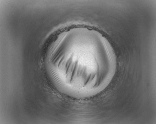 X0000056341495200509232025
