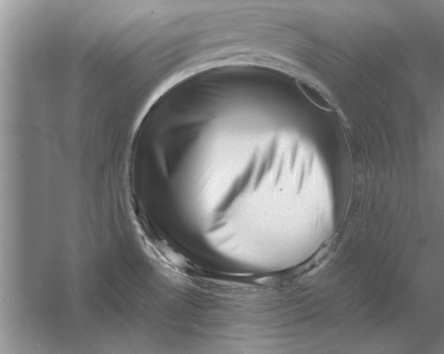 X0000056341530200509232026