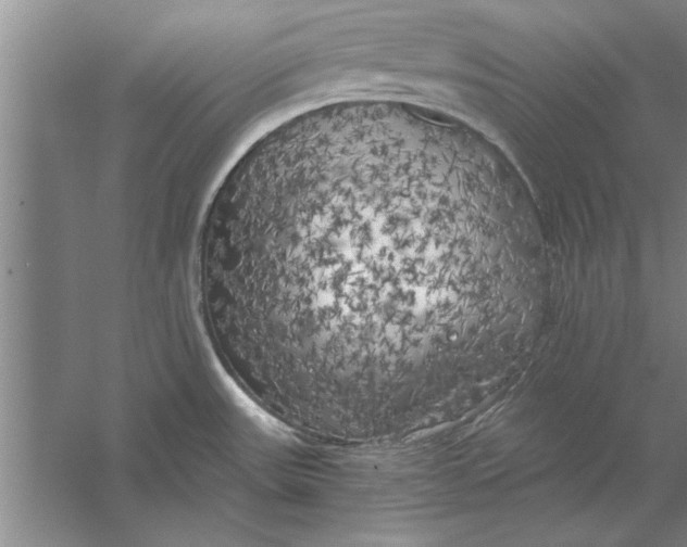 X0000056341531200509232026
