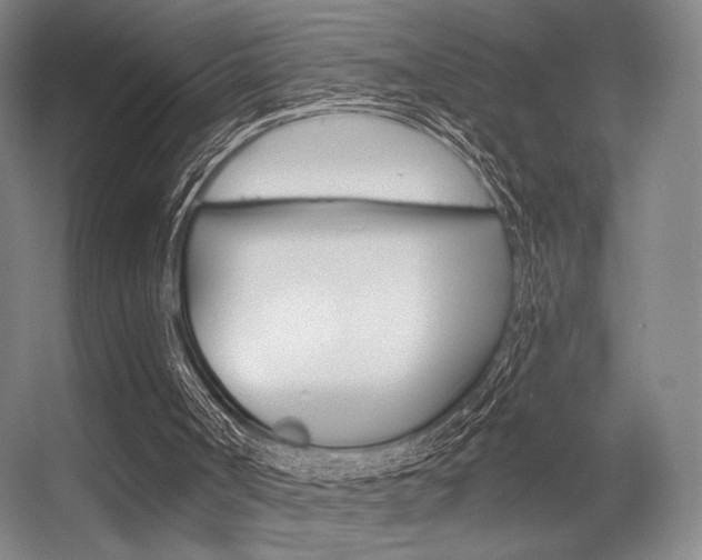 X0000056350002200508260932
