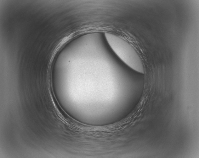X0000056350003200508260932