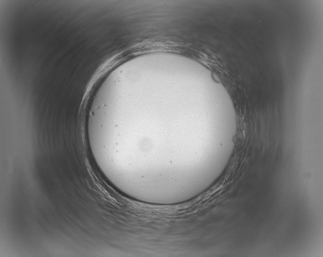 X0000056350004200508260932