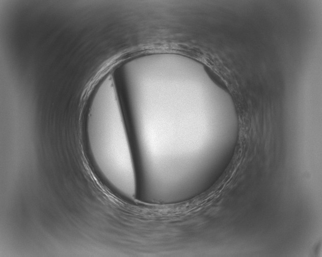 X0000056350005200508260932