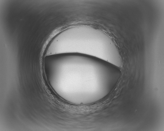 X0000056350006200508260932