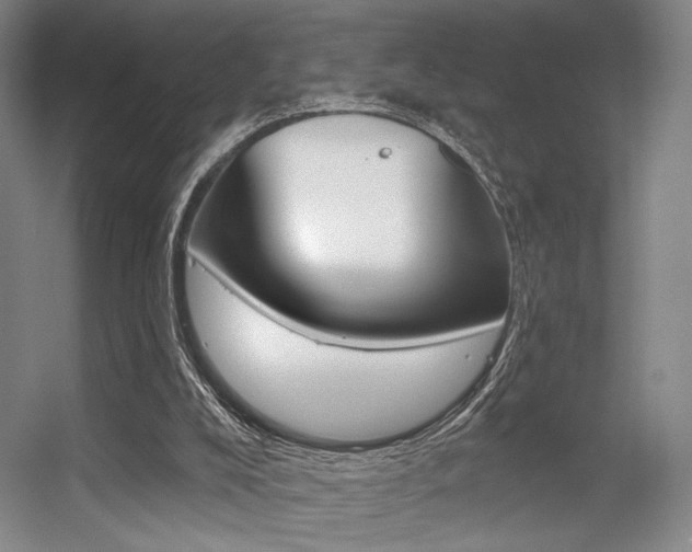 X0000056350008200508260932