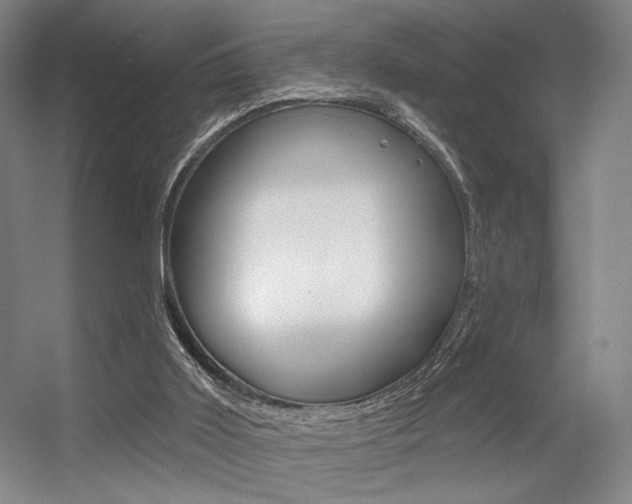 X0000056350011200508260932