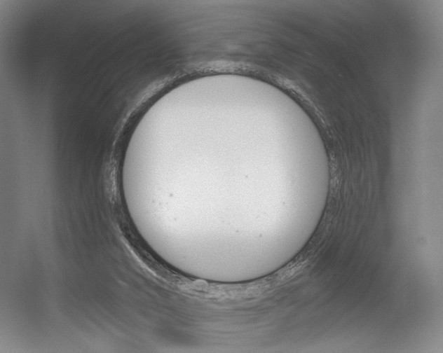 X0000056350016200508260932