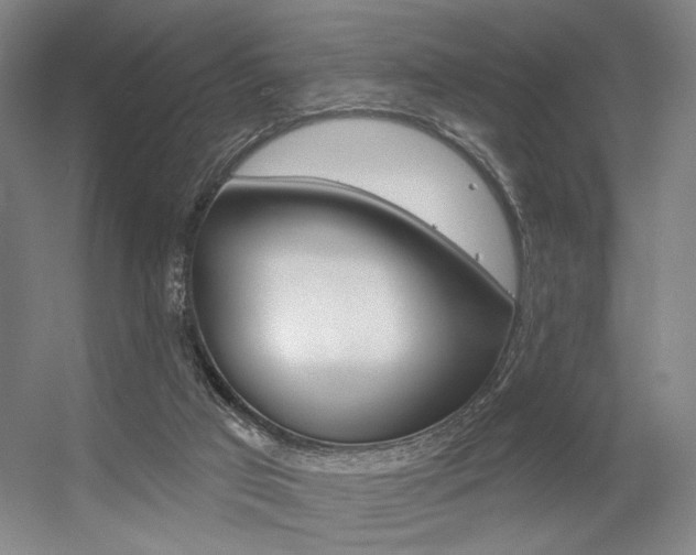 X0000056350017200508260932