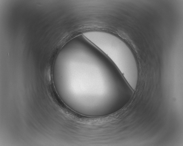 X0000056350021200508260932