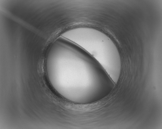 X0000056350023200508260932