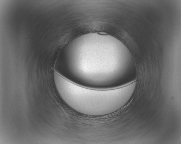 X0000056350029200508260931