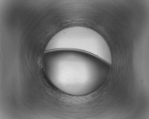 X0000056350031200508260931