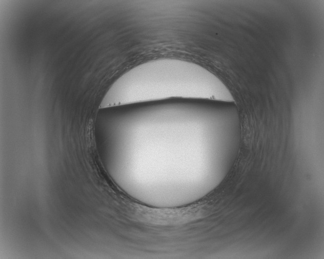 X0000056350034200508260931