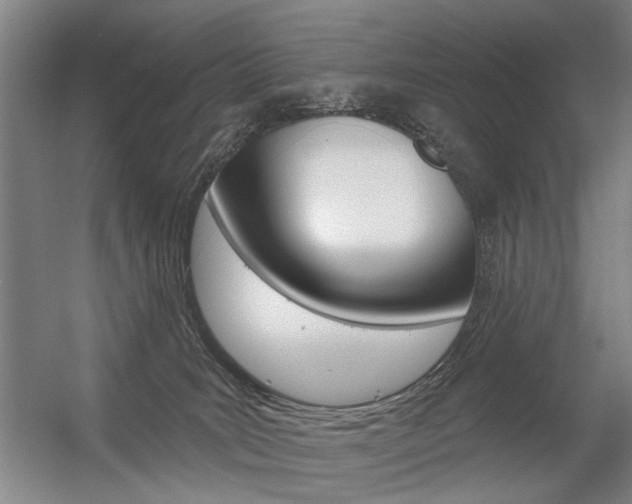 X0000056350035200508260931