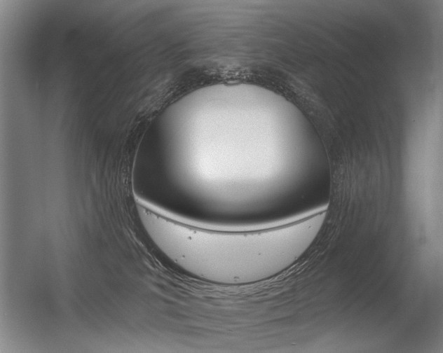 X0000056350039200508260931