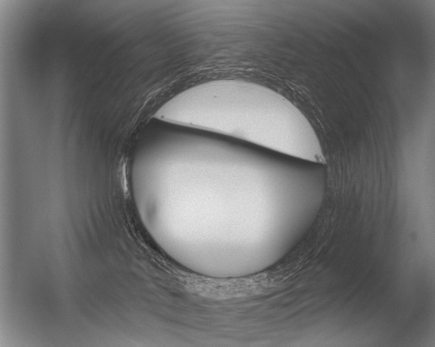 X0000056350042200508260931