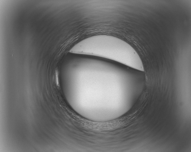 X0000056350046200508260931