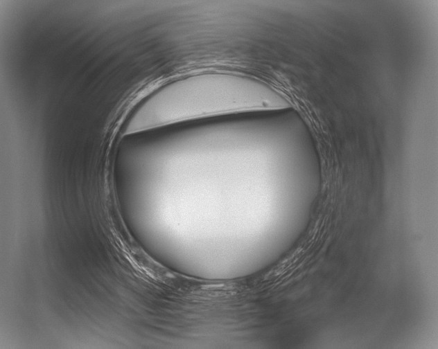 X0000056350050200508260930