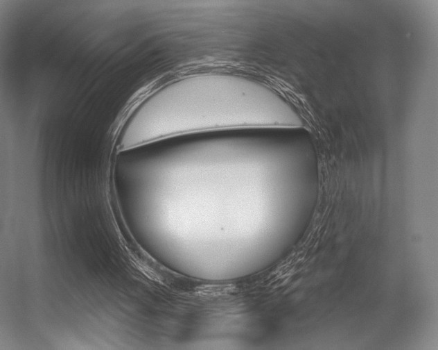 X0000056350051200508260930