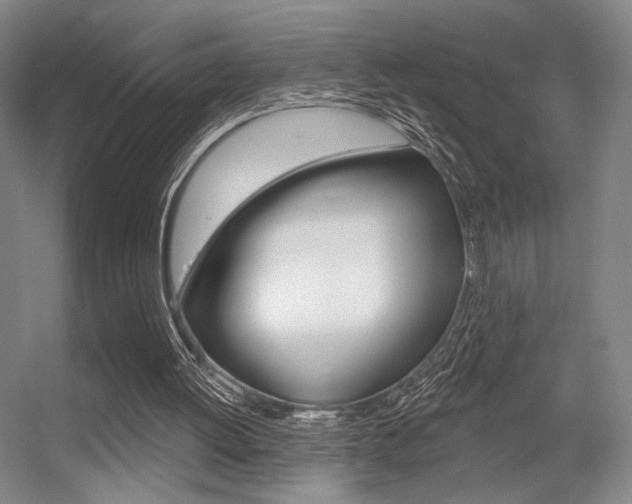 X0000056350052200508260930
