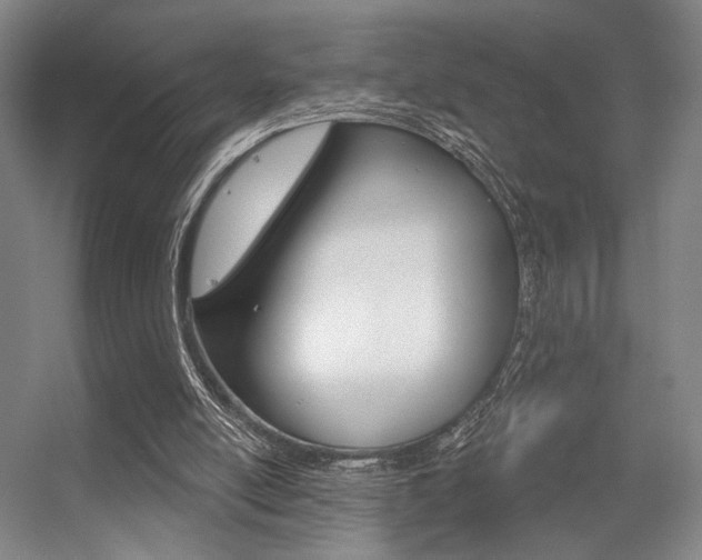 X0000056350054200508260930