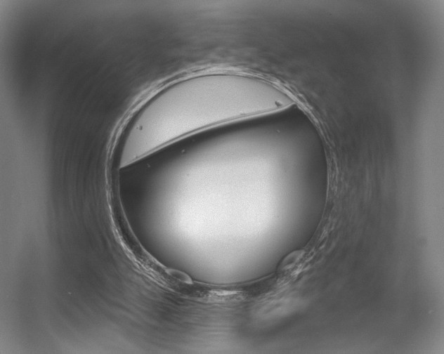 X0000056350055200508260930