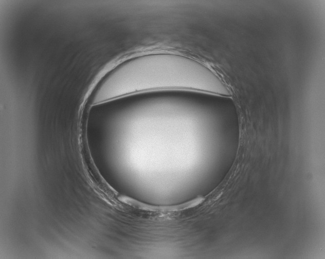 X0000056350056200508260930