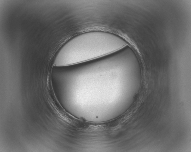 X0000056350057200508260930