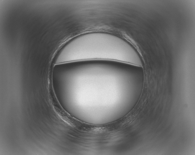 X0000056350059200508260930