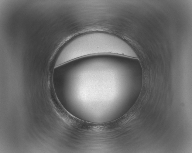 X0000056350064200508260931