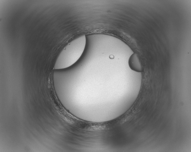 X0000056350065200508260931