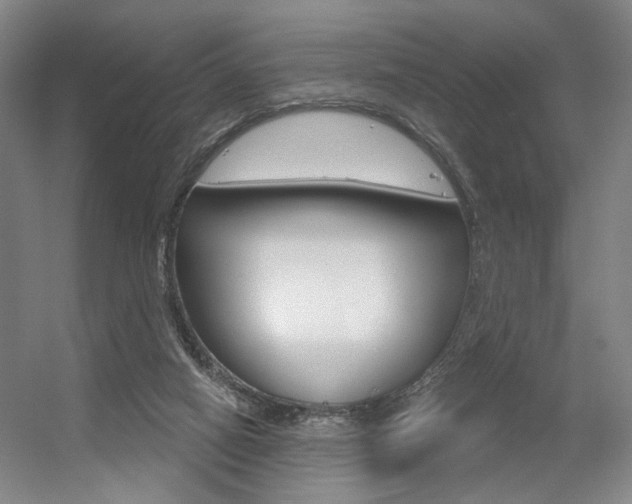 X0000056350066200508260931