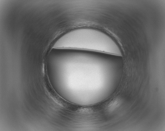 X0000056350067200508260931