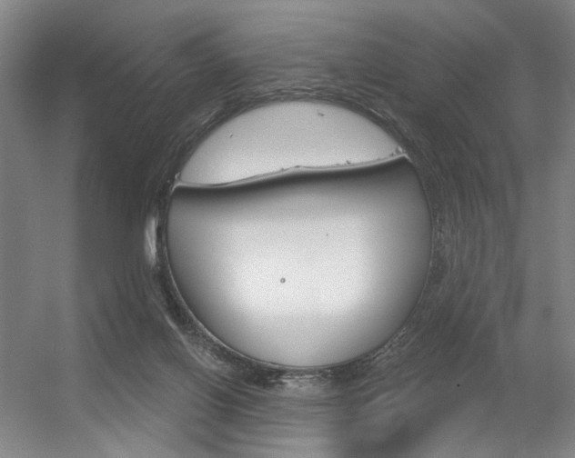 X0000056350070200508260931