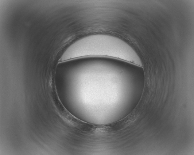 X0000056350072200508260931