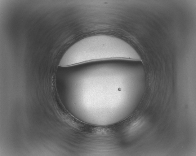 X0000056350073200508260931
