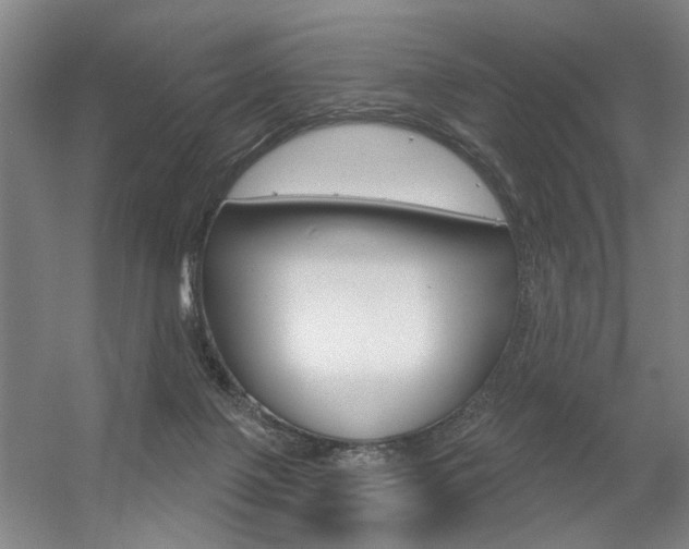 X0000056350075200508260931